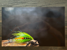 Load image into Gallery viewer, HD Fly Prints