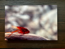 Load image into Gallery viewer, HD Fly Prints
