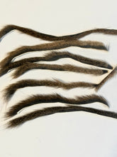 Load image into Gallery viewer, MSCF’s Pine Squirrel Zonkers