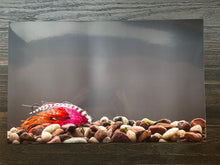 Load image into Gallery viewer, Metal Print 10x15