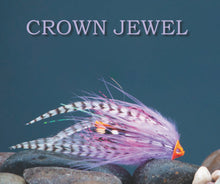 Load image into Gallery viewer, Chasing Chrome- Tying steelhead and Pacific Salmon Flies