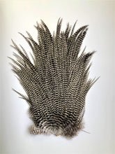 Load image into Gallery viewer, Ewing Premium Grizzly Saddle