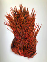 Load image into Gallery viewer, Ewing Premium Grizzly Saddle