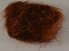 Load image into Gallery viewer, Kraken Enhanced