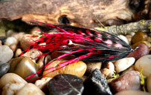 Load image into Gallery viewer, Backdoor Slider
