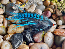 Load image into Gallery viewer, Backdoor Slider
