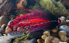 Load image into Gallery viewer, Zoomer
