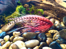 Load image into Gallery viewer, Backdoor Slider
