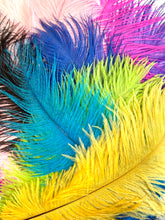 Load image into Gallery viewer, MSCF Premium Ostrich Drabs
