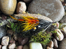 Load image into Gallery viewer, Akroyd 3/0
