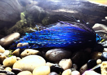 Load image into Gallery viewer, Zoomer
