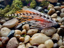 Load image into Gallery viewer, Backdoor Slider
